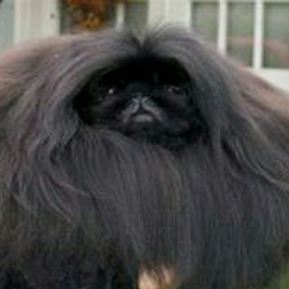 Meet your Posher, Keith - Picture 1 of 1